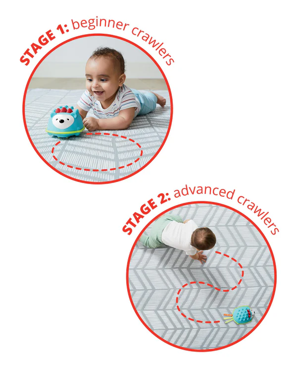 لعبه الزحف القنفذ مرحبًا من Skip Hop Explore & More - الصورة 5