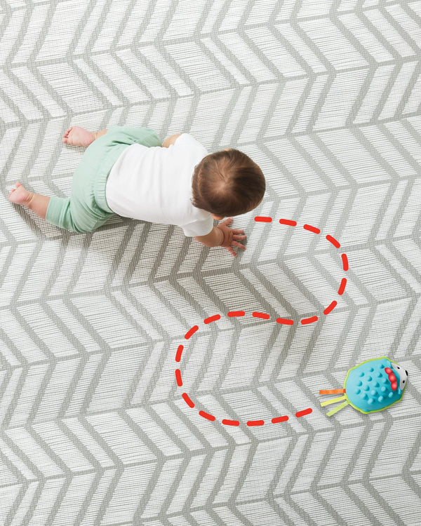 لعبه الزحف القنفذ مرحبًا من Skip Hop Explore & More - الصورة 3